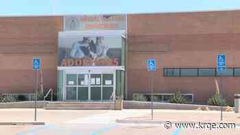 Albuquerque Animal Welfare Department offers services to nearby communities