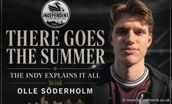Swansea City : The summer of recognition. Every player that matters examined
