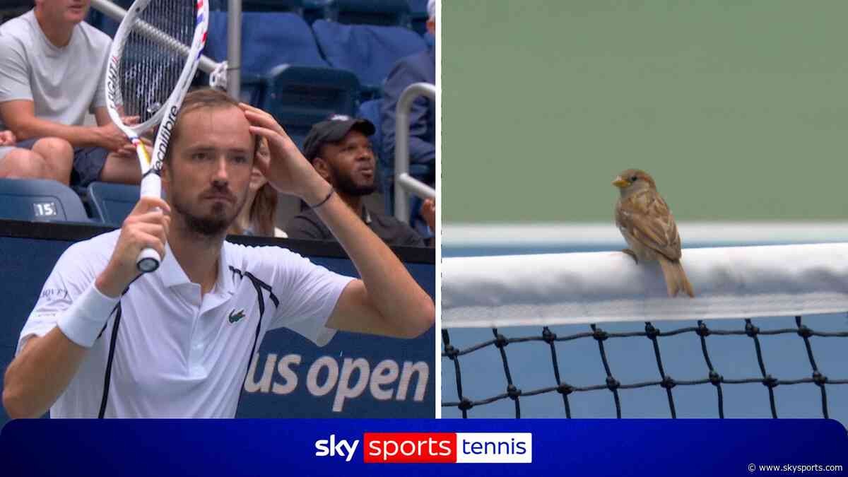Medvedev FUMES as birds halt play!