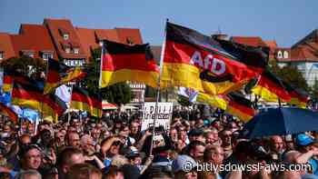 La mayoría de alemanes ve un gobierno de AfD  como una amenaza para la democracia