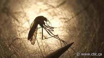 Peel Public Health confirms 1st human case of West Nile Virus in 2026