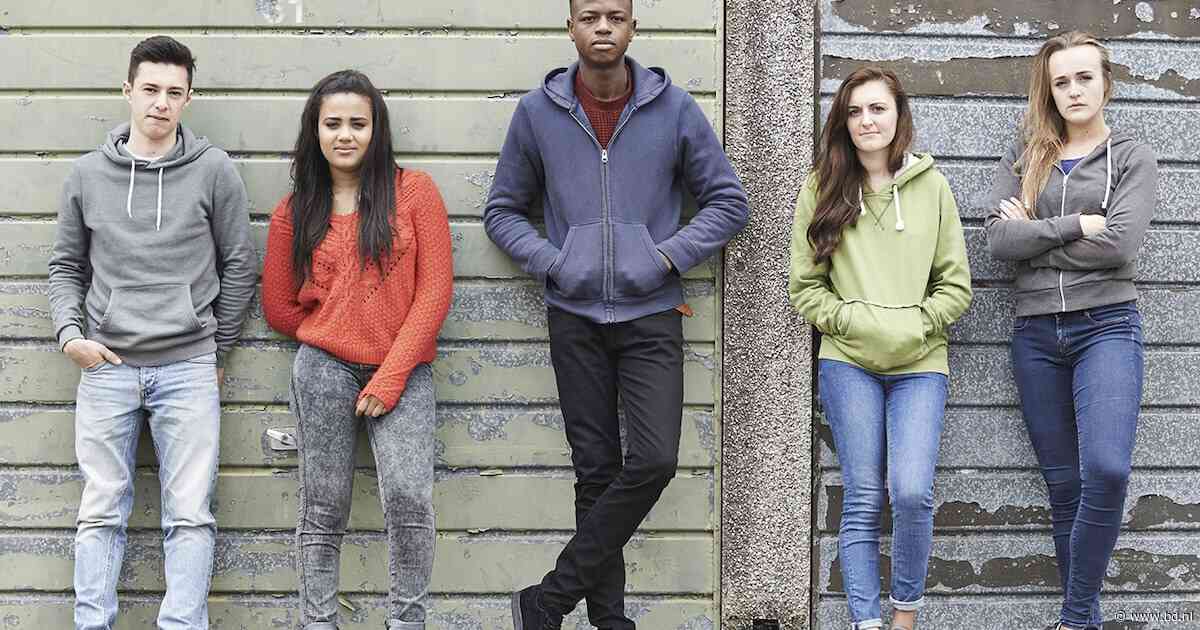 Jongerenwerk LEVgroep en Wijzer gaat verder als Durv in Helmond en omgeving