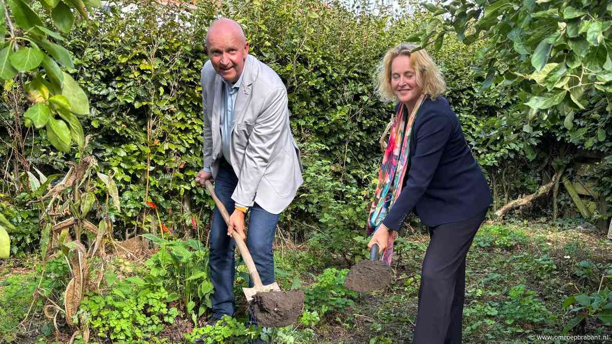 Brabant pakt loodvervuiling in bodem aan: eerste moestuintjes gesaneerd