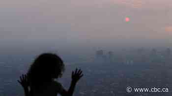 Climate change past the point of no return, UN says, as worst impacts are now unavoidable