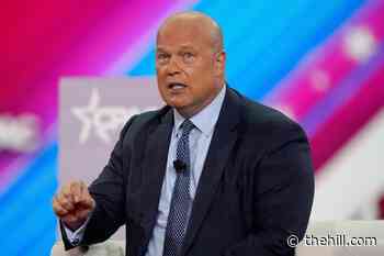US ambassador urges NATO vigilance: 'You can't predict what Vladimir Putin's going to do'