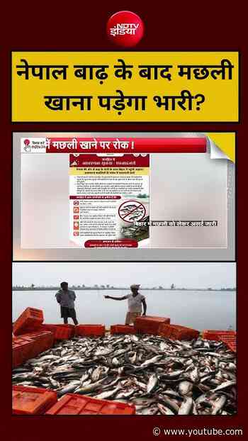 Syed Suhail | Nepal Flood Viral Video: नेपाल बाढ़ के बाद मछली खाना पड़ेगा भारी? #floodnews #viral