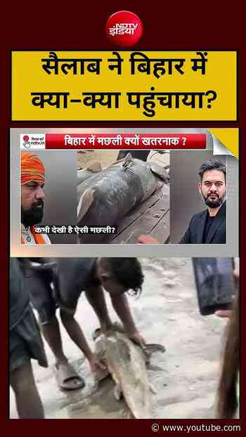 Syed Suhail | Nepal Flood Viral Video: सैलाब ने बिहार में क्या-क्या पहुंचाया?#viral #shorts