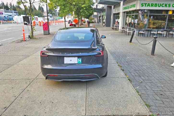 Social media post of driver parked on sidewalk gains traction