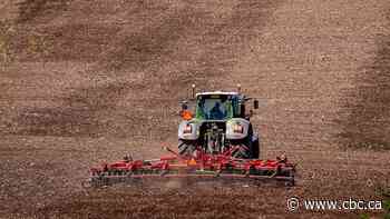 Maritime farmers hit by major drought last summer say they're on the road to recovery