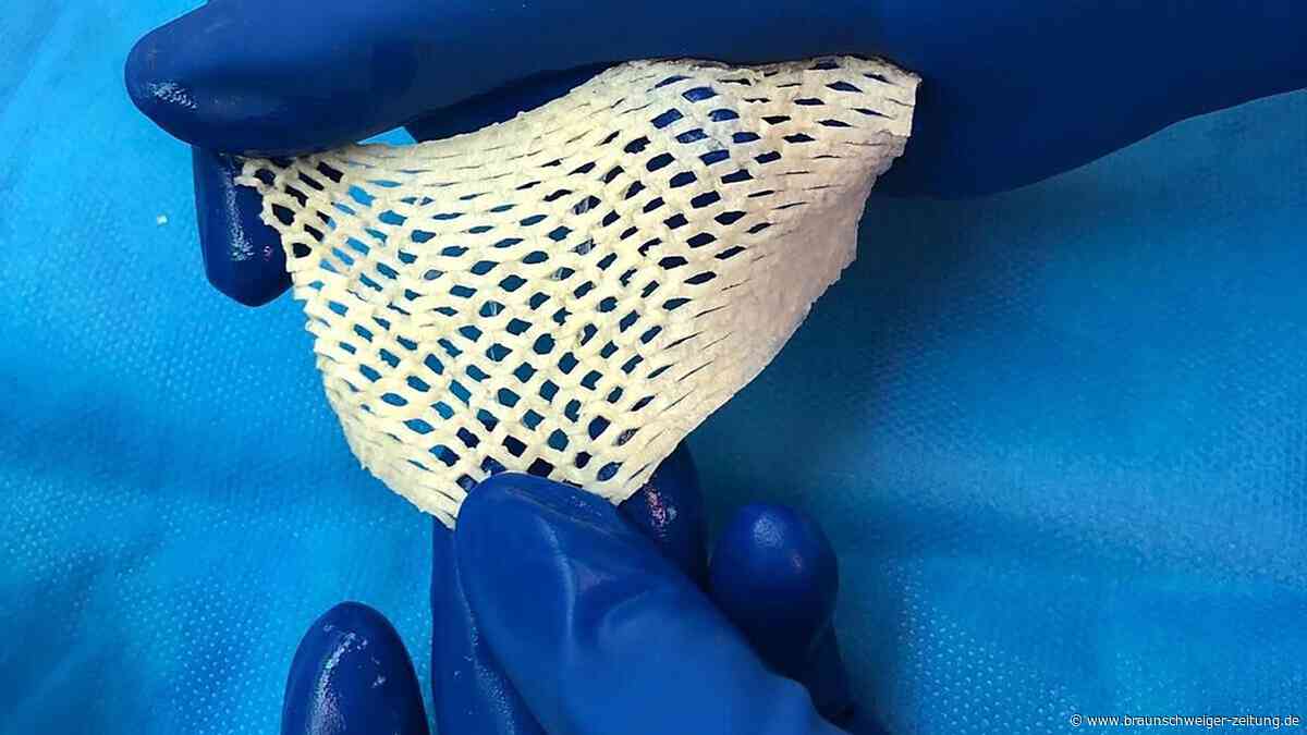 Kabeljau als Lebensretter: Wie isländische Fischhaut Wunden heilt