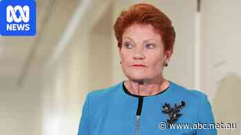Hanson risks accusations she's using a security issue for political points