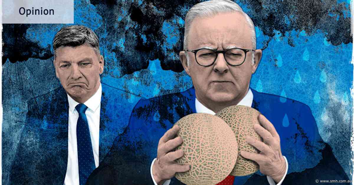 Earth to Albo: your radar malfunctioned again. The PM can’t afford many more mistakes