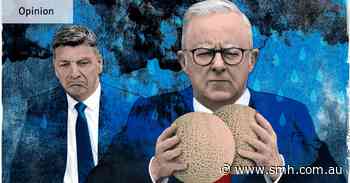 Earth to Albo: your radar malfunctioned again. The PM can’t afford many more mistakes