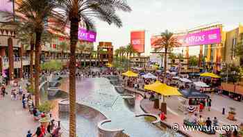 Glendale’s Vast Offerings Get The Spotlight During Noche UFC Fight Week