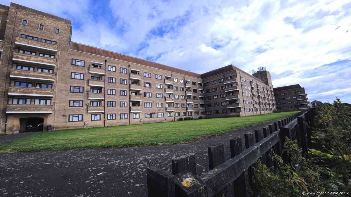 Faulty lifts leave elderly Tynemouth flats resident facing 'weeks of issues' as repairs delayed by seagulls