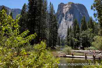 Trump administration allegedly weighs developer’s plan to build private road in Yosemite National Park