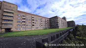 Faulty lifts leave elderly Tynemouth flats resident facing 'weeks of issues' as repairs delayed by seagulls