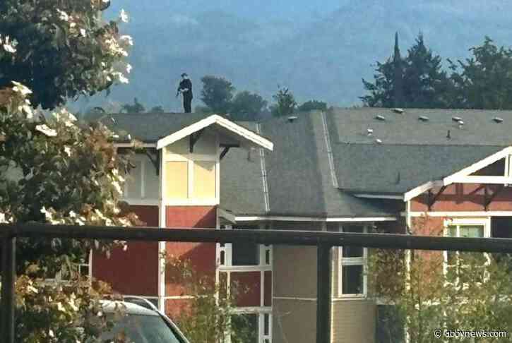 Man with ‘rifle’ on roof prompts calls to police in Abbotsford