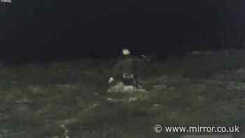 'Brave' police officers wade into sea to catch and arrest paedophile attempting to escape cops
