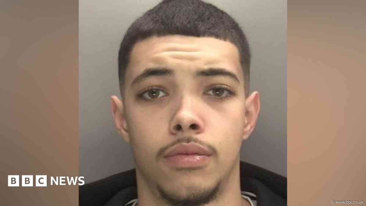 Teen attacked people and stole cars at tram stop