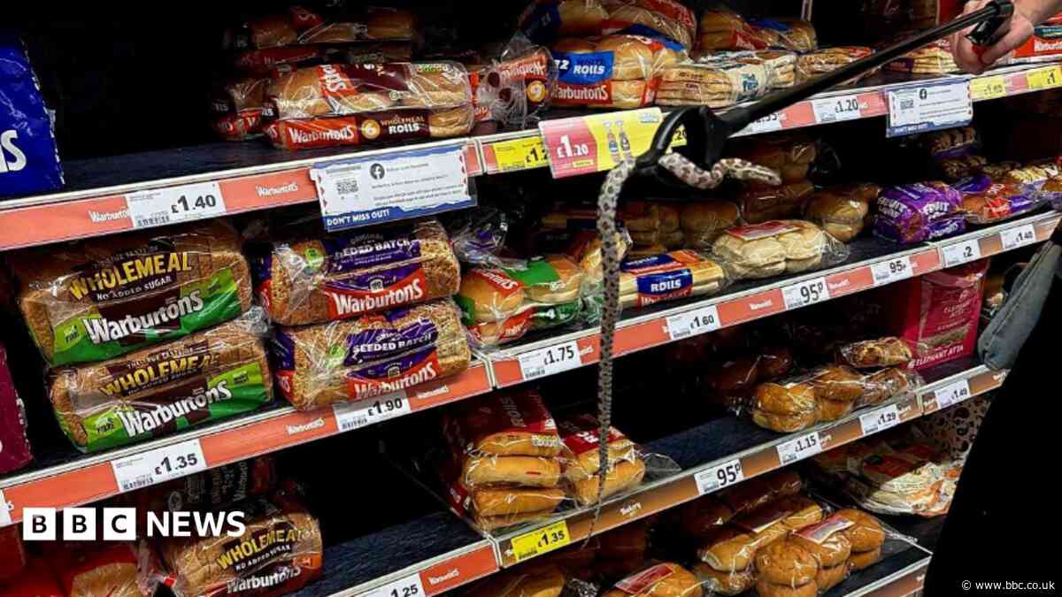 Snake found in bread aisle of supermarket