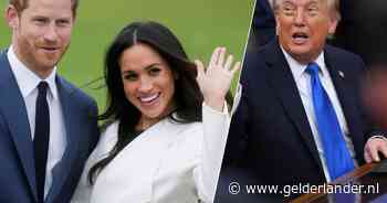 Vertrek Harry en Meghan uit de VS valt goed bij Trump: ‘Als ik de koninklijke familie was, had ik ze niet teruggenomen’