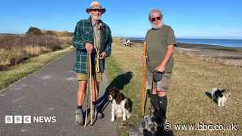 Consultation launched into new dog ban along coast