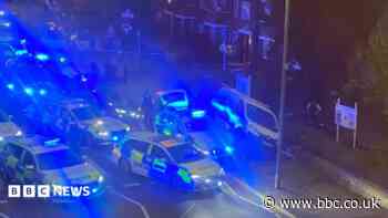 Stolen van driven wrong way forced off road by police