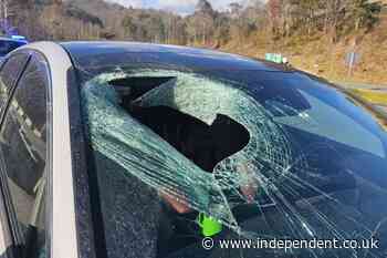Suspect arrested after smashing 81 car windshields in Virginia parking lot
