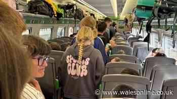 'We were crammed into five carriages and had to stand the whole way from Cardiff to Reading'