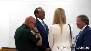Tiger Woods enters plea deal