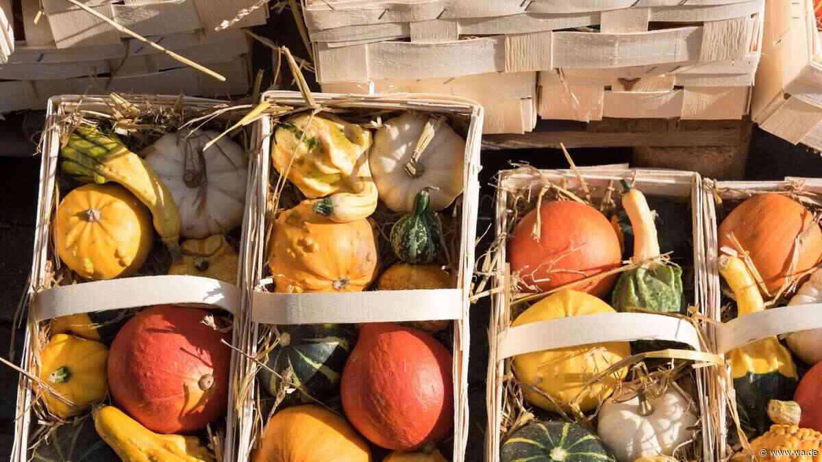 Viel los am Wochenende: Herbstmarkt, Weinfest und verkaufsoffener Sonntag in einer Stadt in NRW
