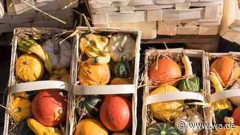 Viel los am Wochenende: Herbstmarkt, Weinfest und verkaufsoffener Sonntag in einer Stadt in NRW