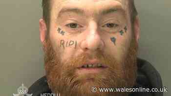Man with RIP tattooed on his face headbutted and punched his partner at a campsite