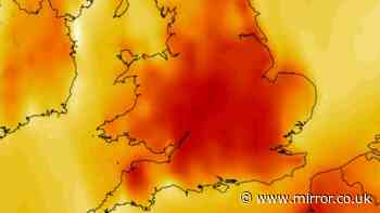 Met Office and BBC Weather issue verdicts on 'very warm spells' this month
