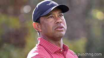 Tiger Woods gets five-year driving ban after plea deal