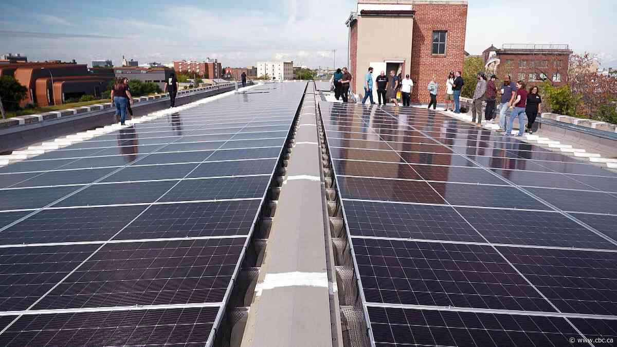 Winnipeg non-profit powers downtown space with solar panels