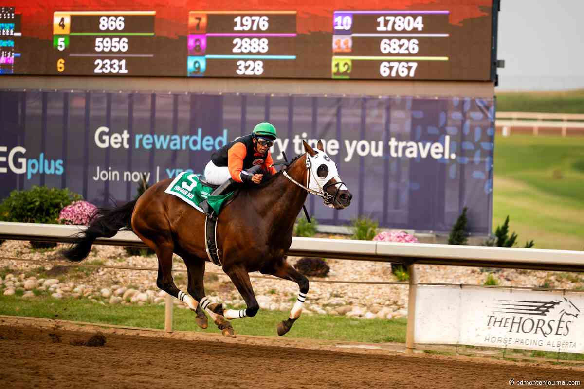 Northern Alberta horsemen turn $8,500 gamble on Fireman Dan into $100,000 stakes win
