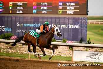 Northern Alberta horsemen turn $8,500 gamble on Fireman Dan into $100,000 stakes win