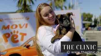 Éxito total en MoviPet: el 100% de los perros en adopción encontró una nueva familia en Movicenter