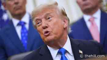 White House defends Trump's beef import plan after report on billionaire's influence