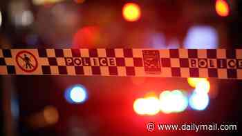 Teen, 17, has hand cut off in Sydney park assault - as 15-year-old is arrested