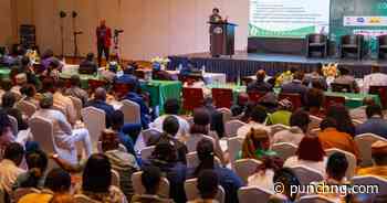 NAFDAC reforms boost local drug production, attract investors, says DG