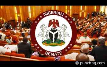 2027 polls won’t derail constitutional amendment, Senate assures