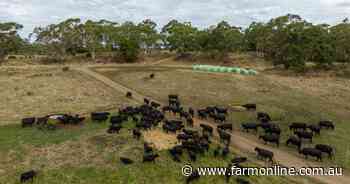 How China's safeguard trigger is hitting Australian beef processor profits