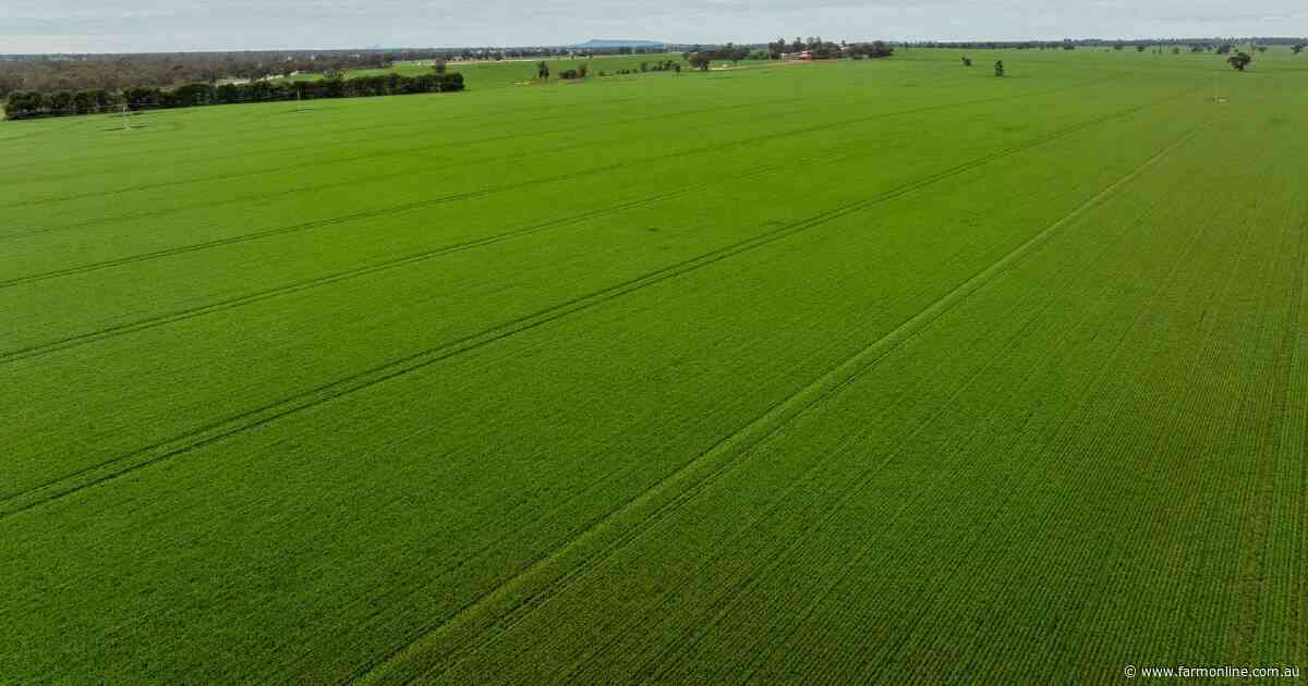 Productive farming, grazing property with excellent water security | Video