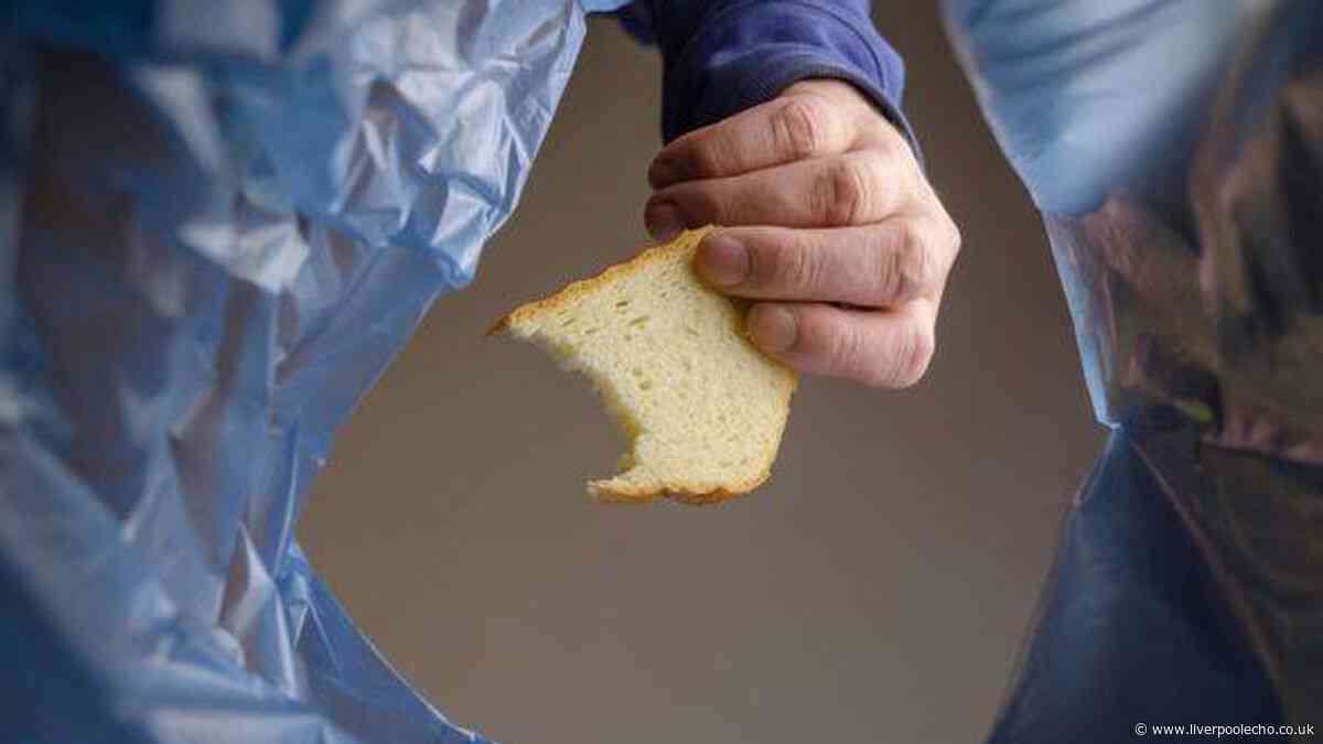 People urged to put bread at the bottom of wheelie bins in September
