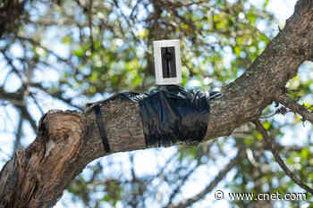 Everything to Know About Burglars Using Spy Cams to Watch Homes