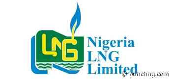 NLNG/SEPNU leads as domestic cooking gas supply rises
