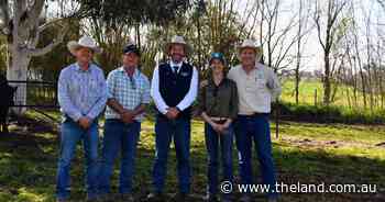Mates join forces to secure bull with 'great structure' at Kenny's Creek Angus